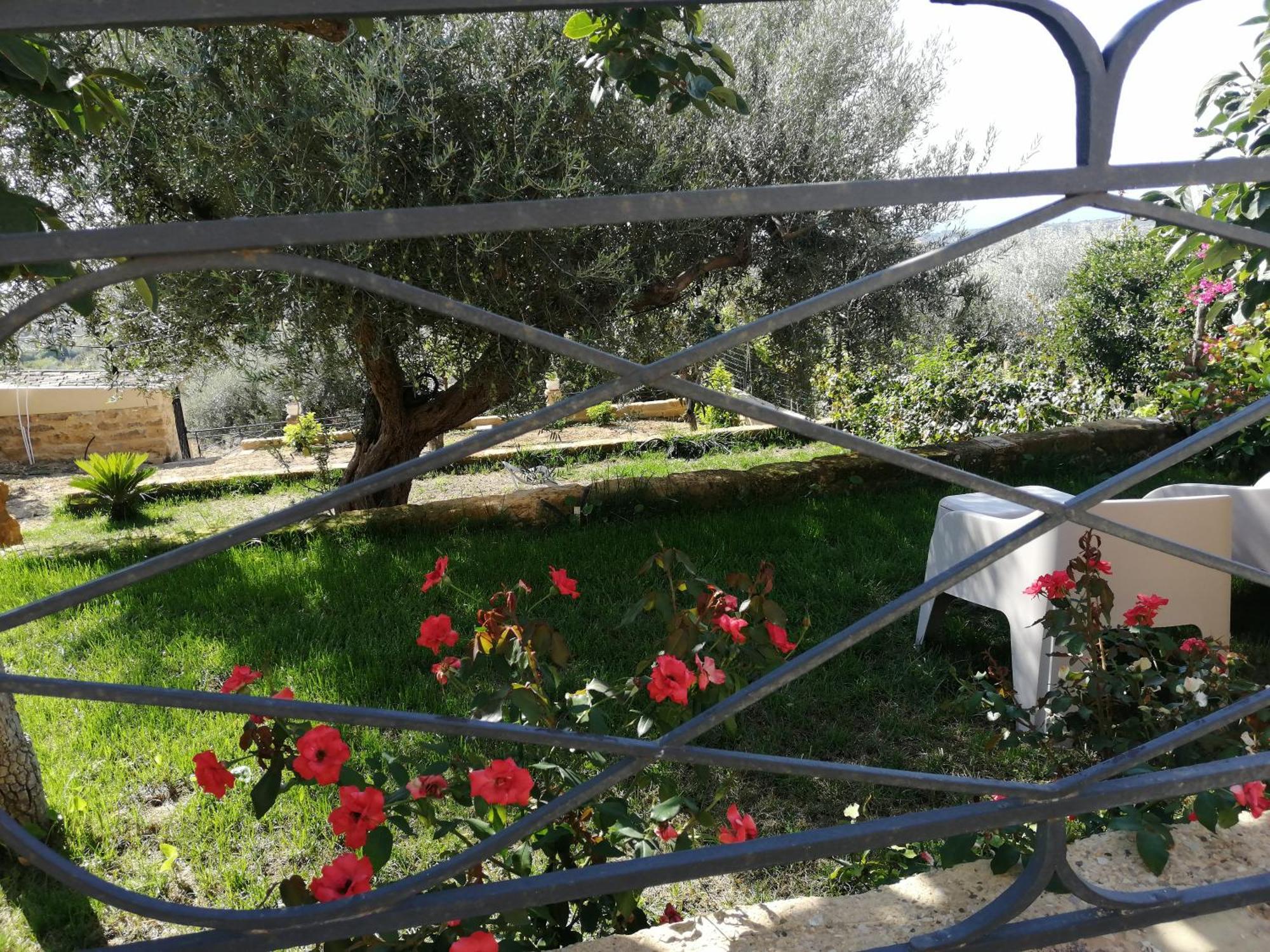 A Casa Di Mammi Nella Valle Dei Templi Agrigento Cameră foto